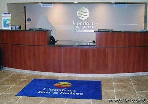 Comfort & Hotel